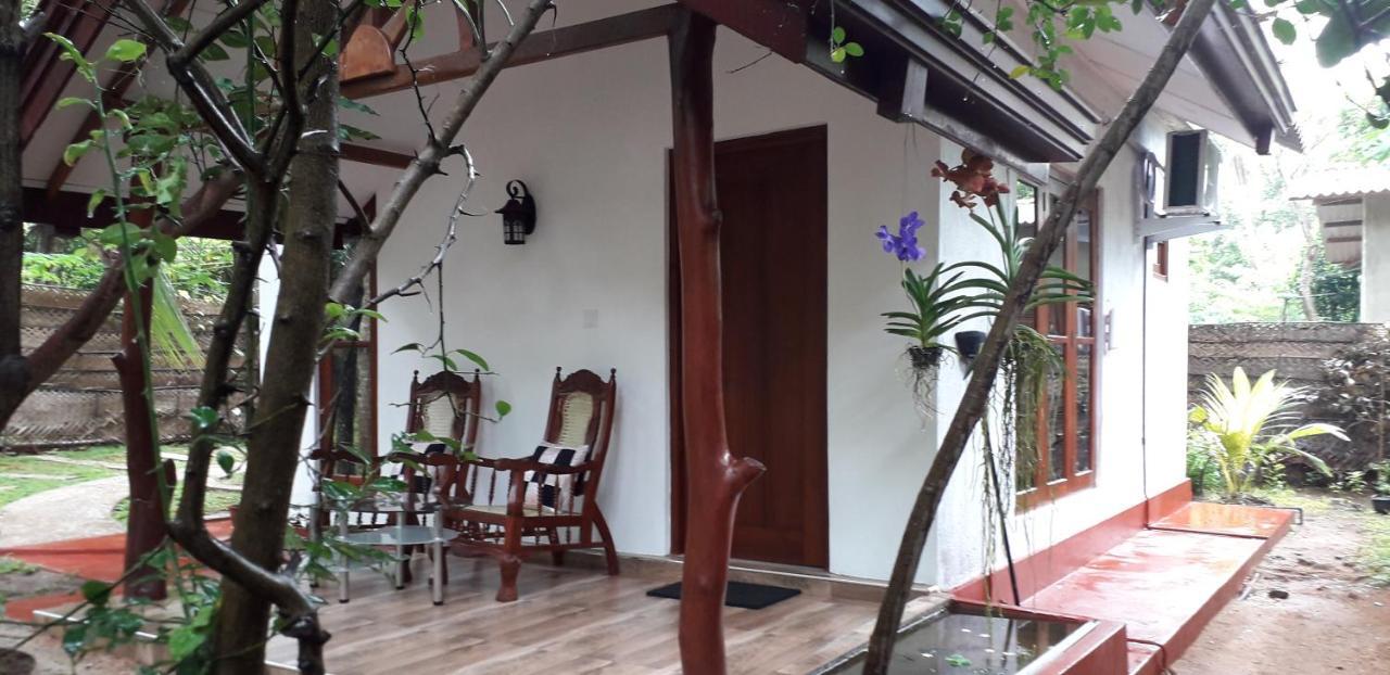 Yaluwa Tourist Rest & Cooking Class Anuradhapura Exteriör bild
