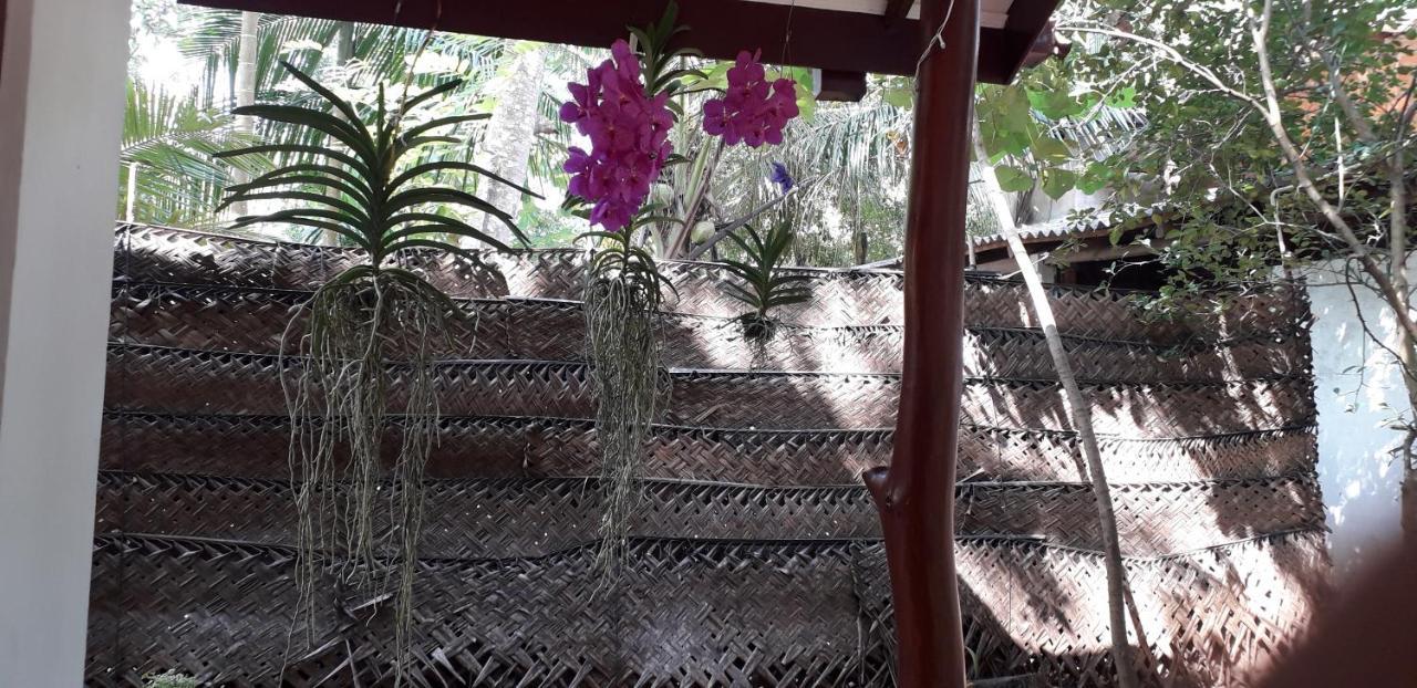 Yaluwa Tourist Rest & Cooking Class Anuradhapura Exteriör bild