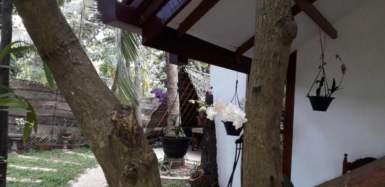 Yaluwa Tourist Rest & Cooking Class Anuradhapura Exteriör bild
